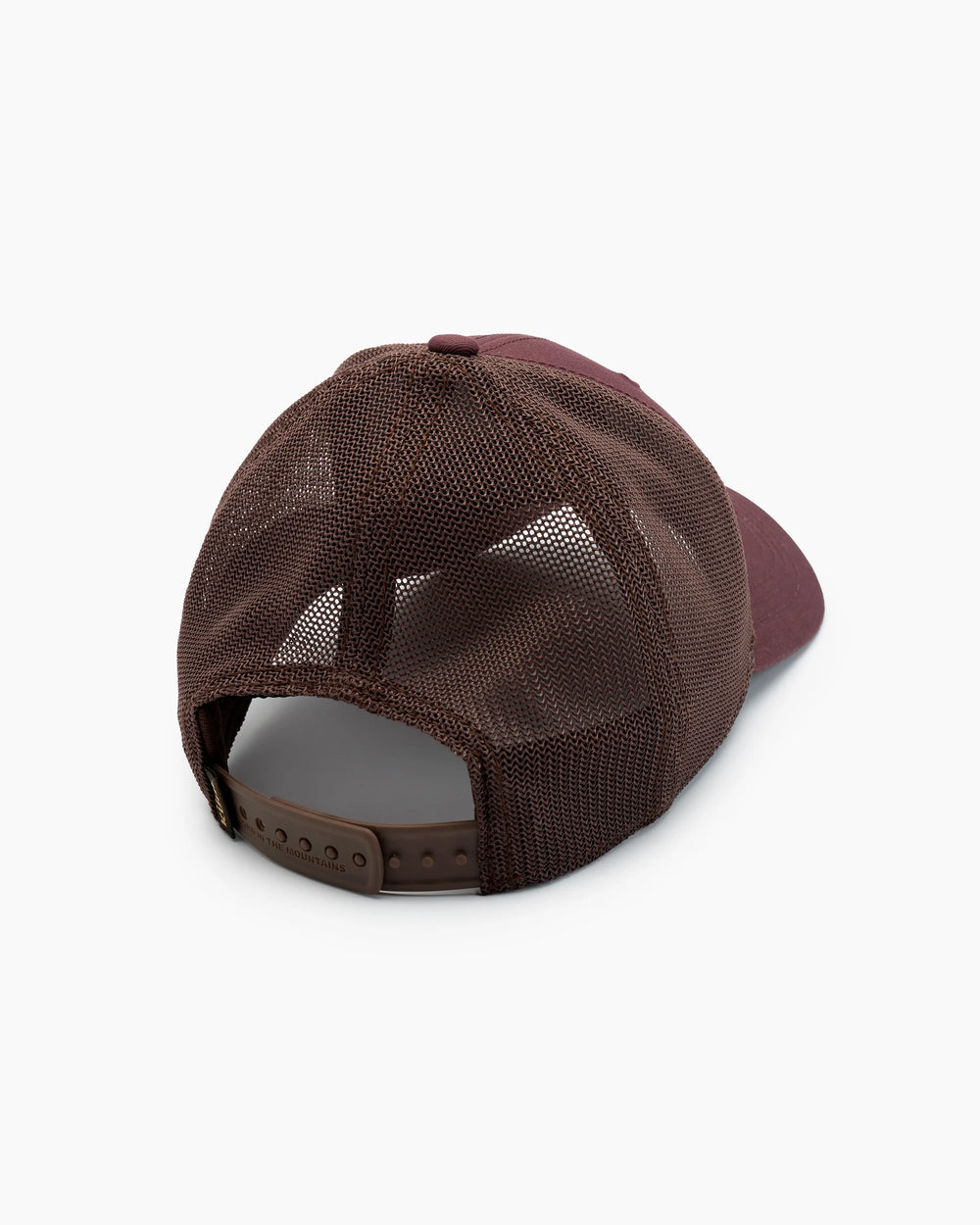 RAISIN